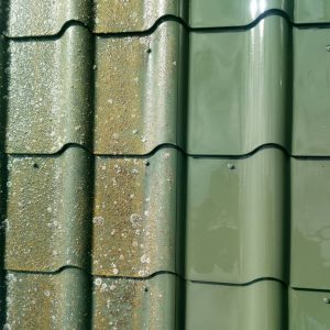 изображение_viber_2020-07-01_03-41-36