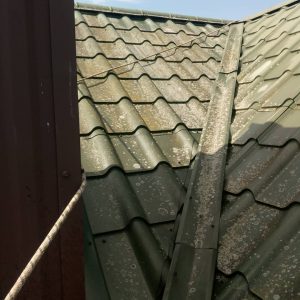 изображение_viber_2020-07-01_03-41-41